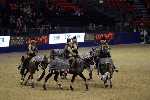 Quadrille - 00727